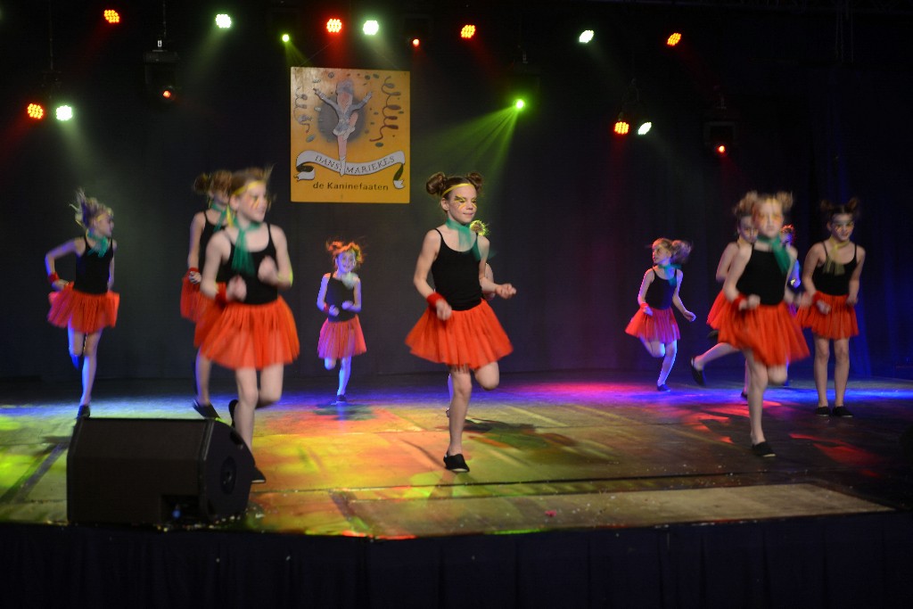 ../Images/Dansmarieke Festival 2016 228.jpg
